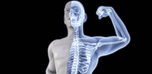 عظام جسم الإنسان