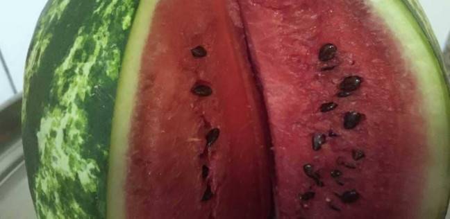 حمية البطيخ