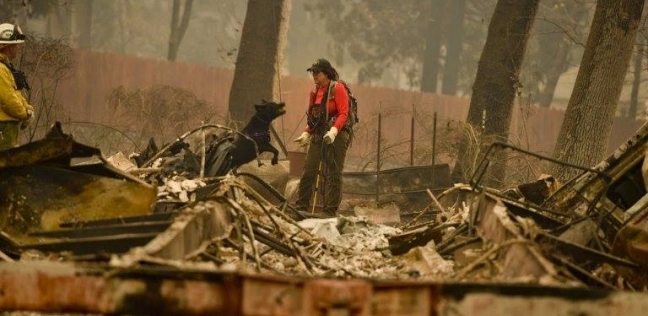 بالصور| حرائق الغابات في أمريكا تتسبب في تشرد العائلات
