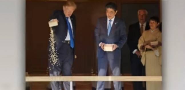 الرئيس "ترامب" اثناء اطعامه السمك في اليابان