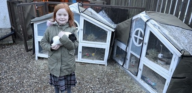 عائلة تحول منزلها إلى حديقة حيوان صغيرة