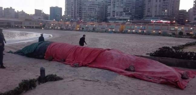 الحوت على شاطئ رشدي بالإسكندرية