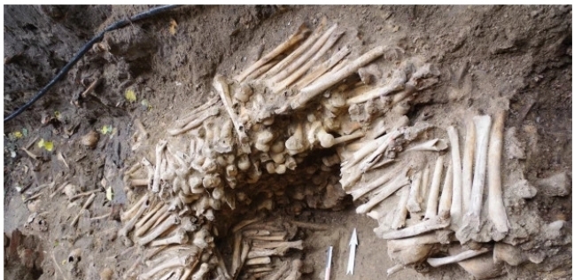 جدار العظام المكتشف
