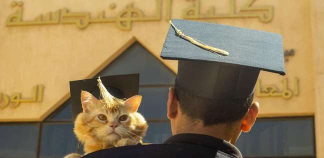 «أحمد» يحتفل بالتخرج في كلية الهندسة مع قطه