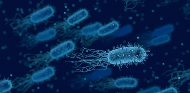 يلا خبر | تحذيرات أمريكية من انتشار بكتيريا مقاومة للأدوية.. رصد 148 حالة