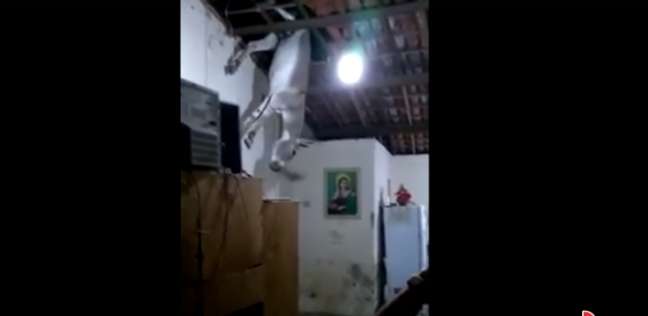 عائلة برازيلية تتفاجئ بسقوط حمار من سقف منزلها