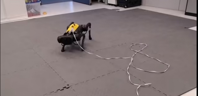 كلب روبوت يمكنه المشي والتعلم سريعا