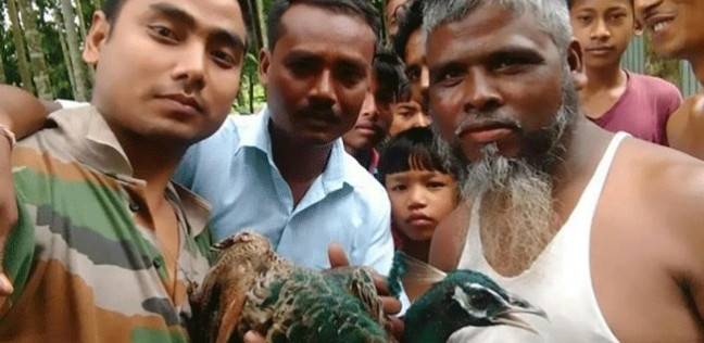 هوس "السيلفي" يقتل طاووس في الهند