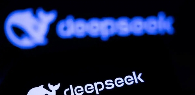 DeepSeek