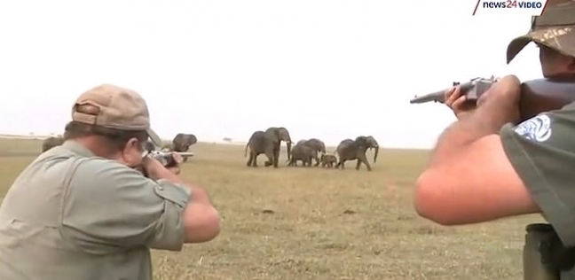 لحظات مرعبة.. قطيع أفيال يهاجم صيادان بعد ان قتلا أحدهم