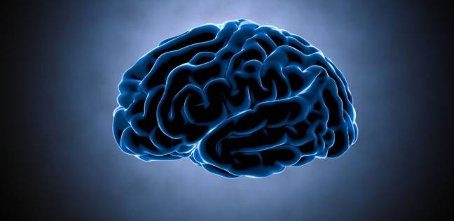 الدراسات أوجدت سبب الاختلاف بين مخ الإنسان ومخ القرود