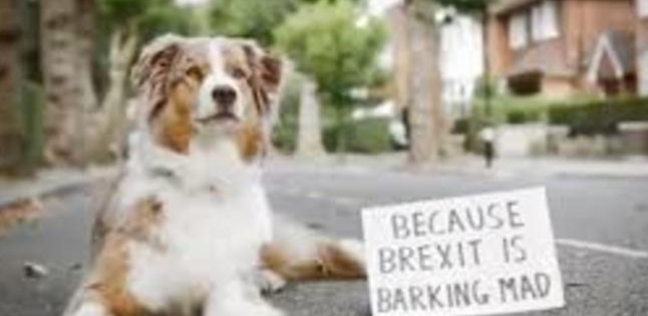 مشاركة الكلاب في مظاهرة لندن ضد بريكست