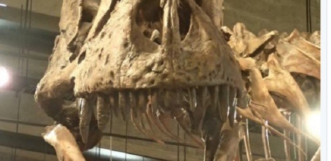 أكبر وأقدم ديناصور