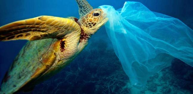 5 آلاف مليار كيس بلاستيكي ترمى سنوياً حول العالم