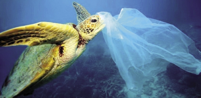الأكياس البلاستيكية تدمر الحياة البحرية