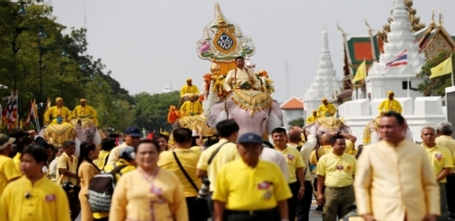 بالفديو| 11 فيل أبيض يقدموا عرض للتتويج ملك تايلاند الجديد 