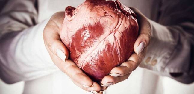 قلب الإنسان