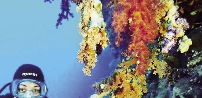 "شيماء" داخل مياه البحر الأحمر