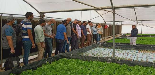 مبادرة «EYE» لتوعية الشباب بالزراعة المائية