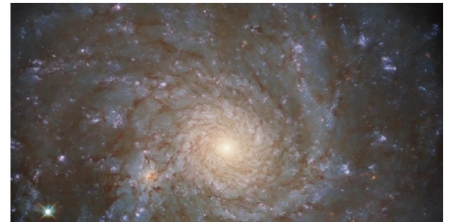 المجرة الحلزونية الجديدة