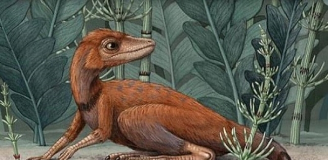ديناصور كونغونافون كيلي