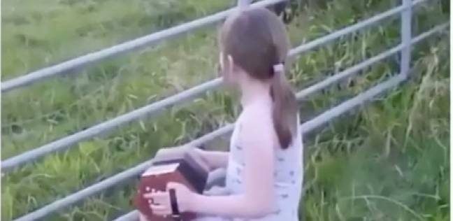 طفلة موهوبة تتجمع حولها الأبقار لتستمتع بعزفها للموسيقى