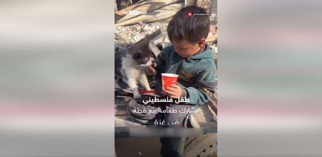 طفل فلسطيني يشارك طعامه مع قطة 
