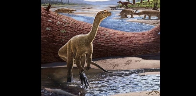 ديناصور «مبيريسوروس راثي»
