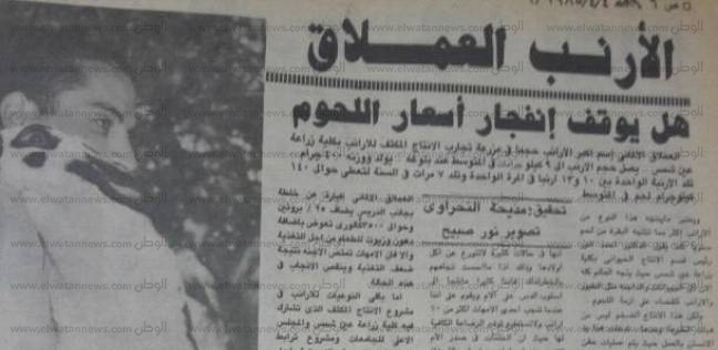 تحقيق الأرنب العملاق لمواجهة انفجار اسعار اللحوم عام 1985 بجريدة الأهرام