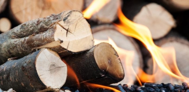 أضرار حرق الأخشاب