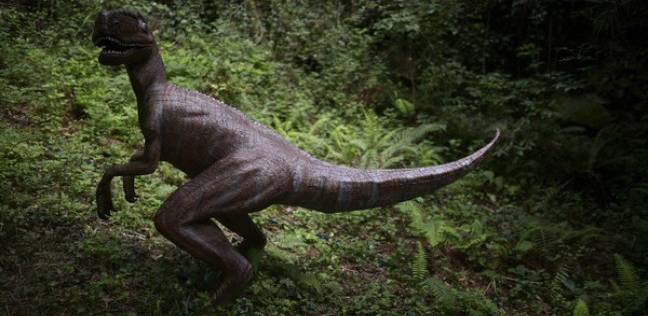 الديناصورات آكلة اللحوم عاشت في جنوب إفريقيا