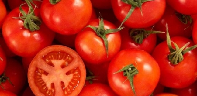 طماطم - صورة تعبيرة