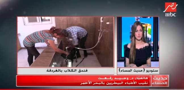الأطباء البيطريين  تكشف حقيقة  فندق الكلاب  بالغردقة - مصر - 