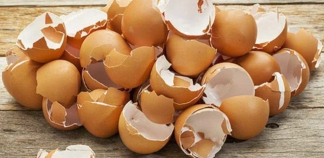 قشر البيض - صورة أرشيفية