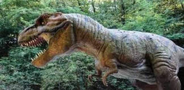 اكتشاف حفريات ديناصورات