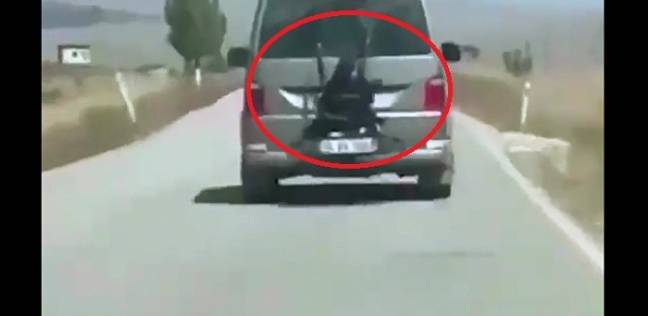 أب يربط ابنته خلف السيارة أثناء القيادة على الطريق السريع