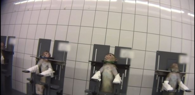 لقطة تظهر القرود أثناء تقييدها في مختبر السموم بألمانيا