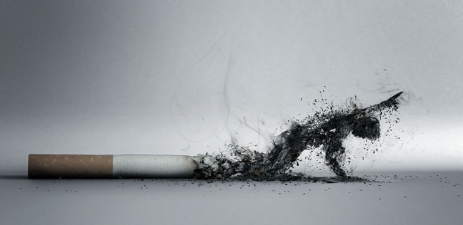 تأثير التدخين على البيئة - تعبيرية