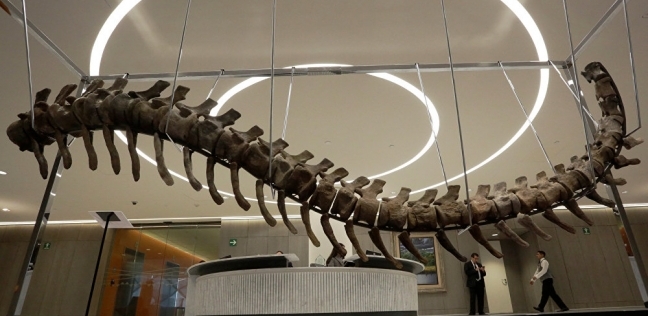 علماء يكتشفوا بقايا ديناصور غير معروف في الأرجنتين