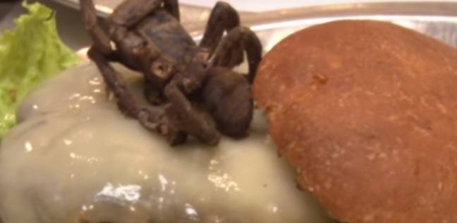 مطعم أمريكي يقدم لزبائنه وجبة برجر بالعنكبوت