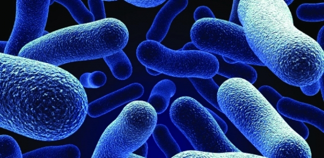 دراسة حديثة: البكتيريا تسبب السرطان وأمراض القلب