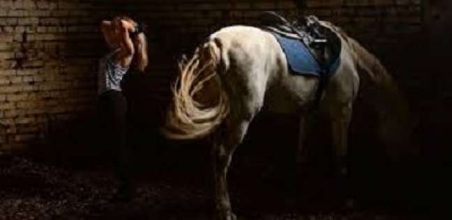 حصان يعرض راقصة لموقف محرج