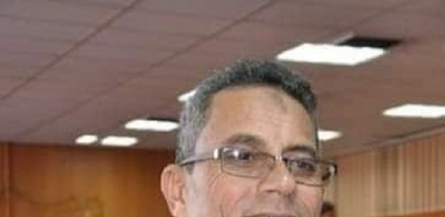 إبراهيم فوزي
