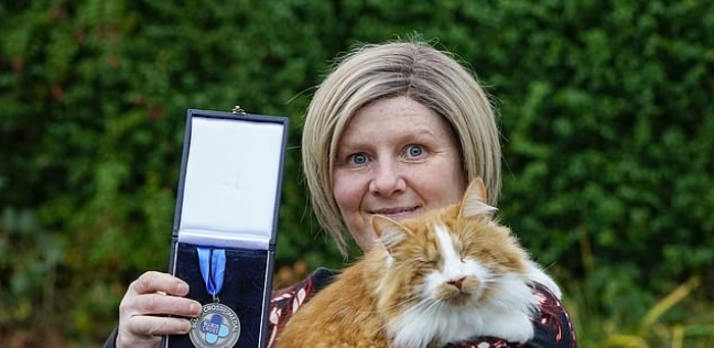 القط "جزر" يفوز بجائزة "الميدالية الزرقاء" نتيجة مساعدة المرضى والمسنين