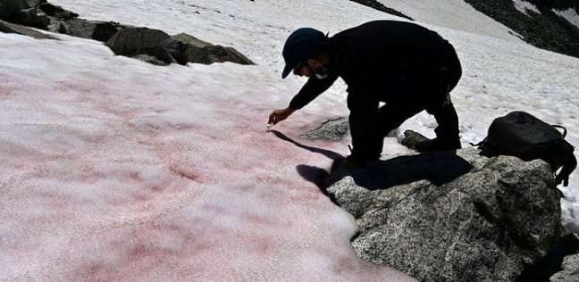 «الجليد الدامي».. ظاهرة غريبة تحول ثلوج جبال الألب للون الأحمر