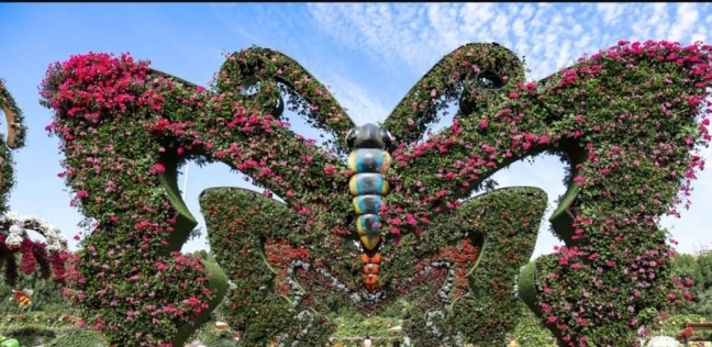 حديقة الفراشات في دبي