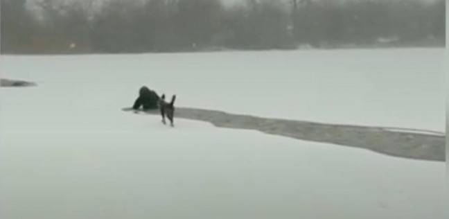 فتاة تلقي بنفسها في مياه متجمدة لتنقذ كلب لا تعرفه