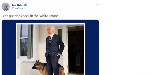 جو بايدن يعيد الكلاب إلى البيت الأبيض.