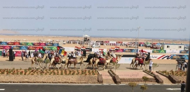 انطلاق فعاليات مهرجان سباقات الهجن الثاني في شرم الشيخ - المحافظات - 