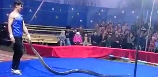 بالفيديو| ثعبان يخنق مدربه أمام الجماهير في سيرك بروسيا